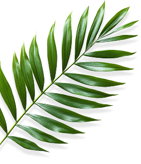 Decorative Leaf